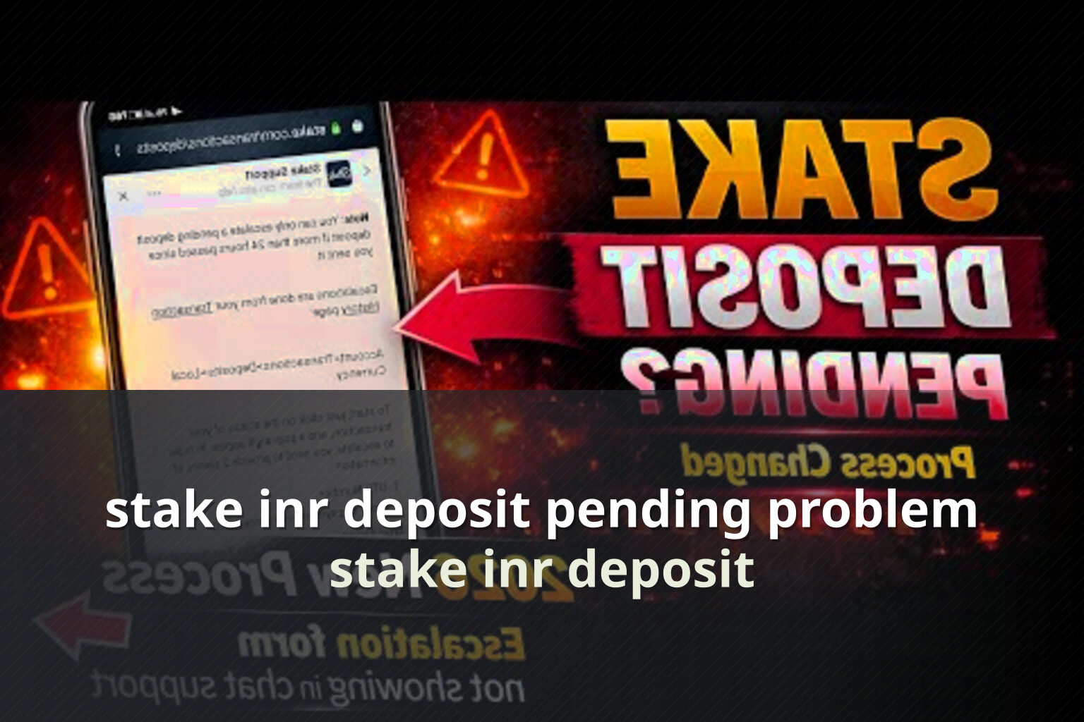 stake inr deposit pending problem stake inr deposit
