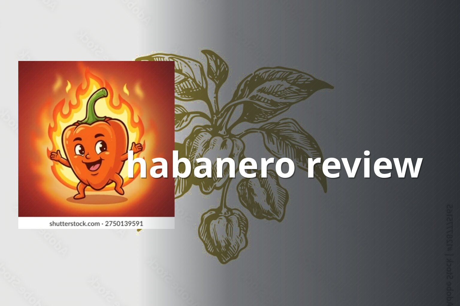 habanero review - gaming_brand