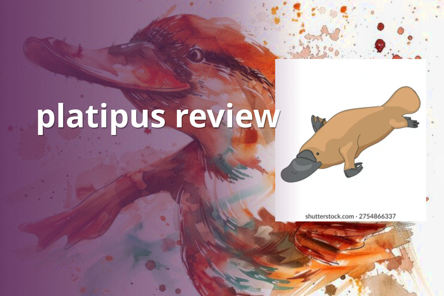 platipus review - gaming_brand
