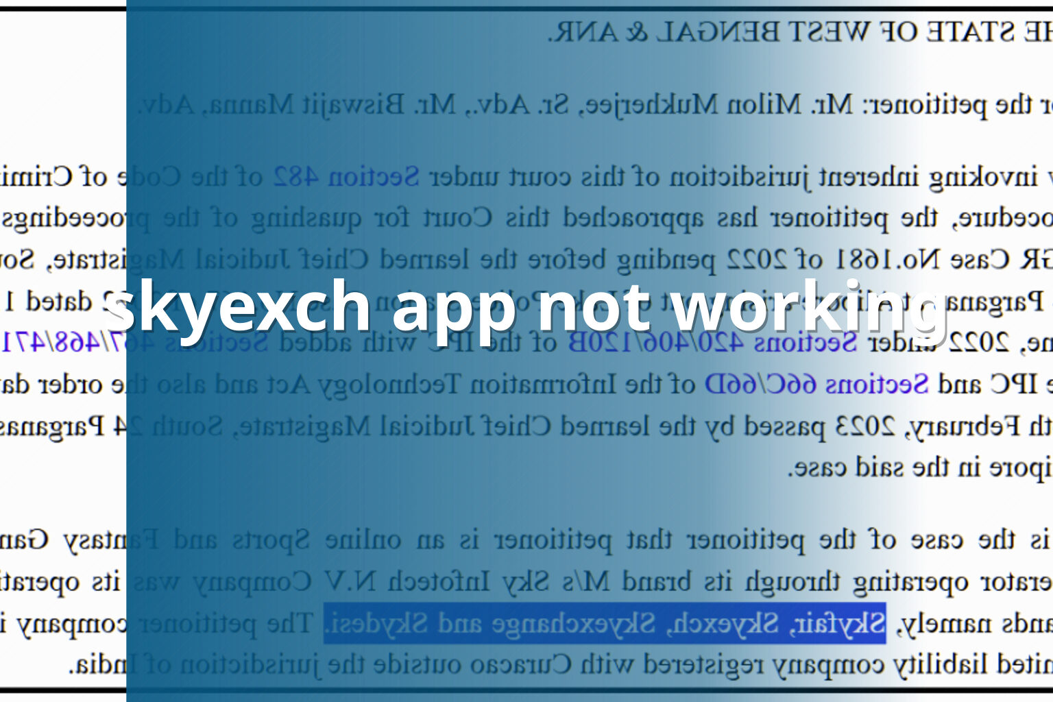 skyexch app not working - gaming_brand