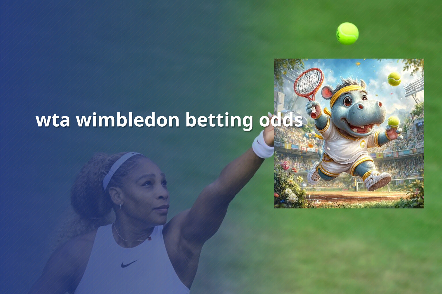 wta wimbledon betting odds - sportsbook