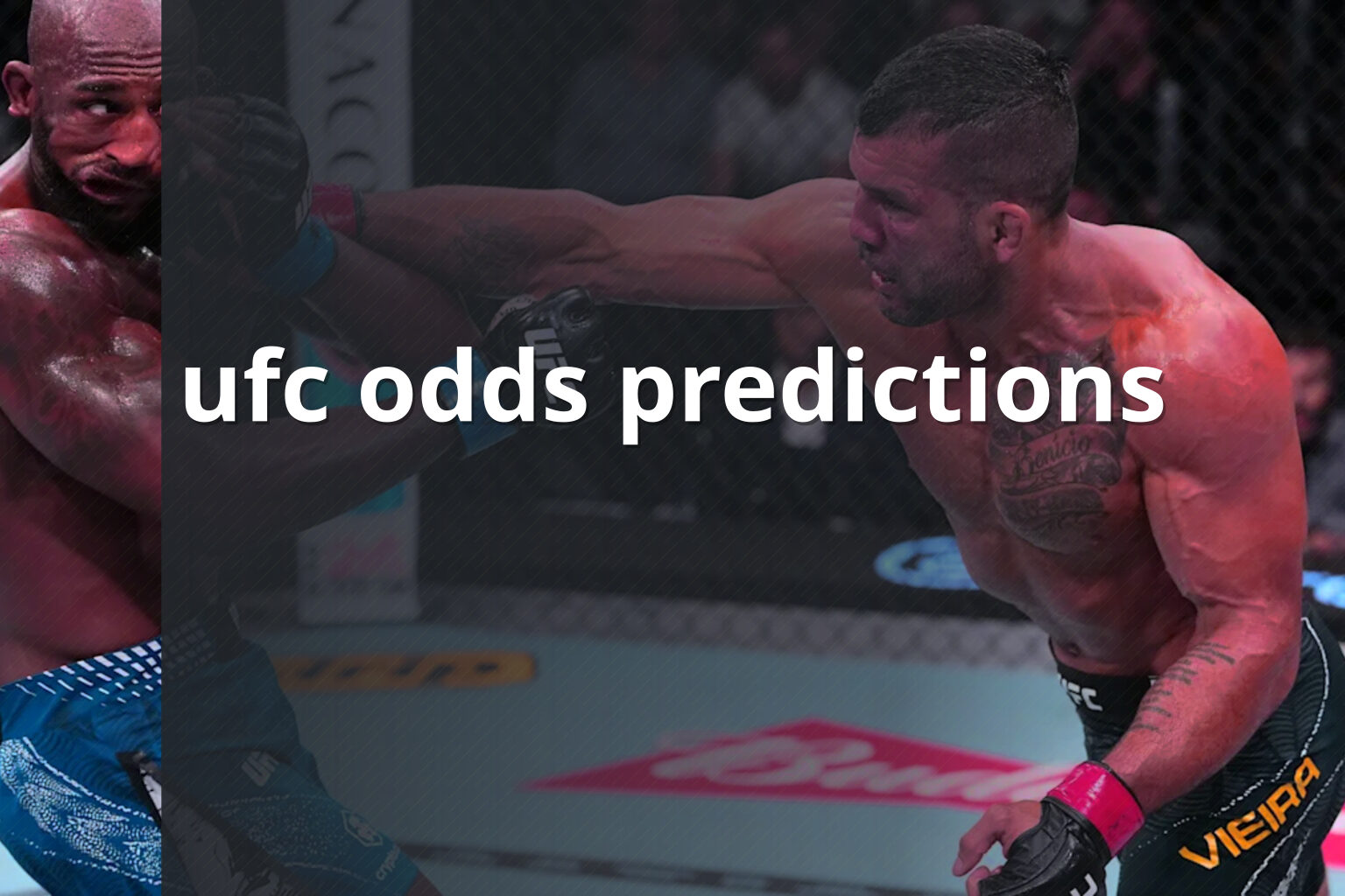 ufc odds predictions - sportsbook