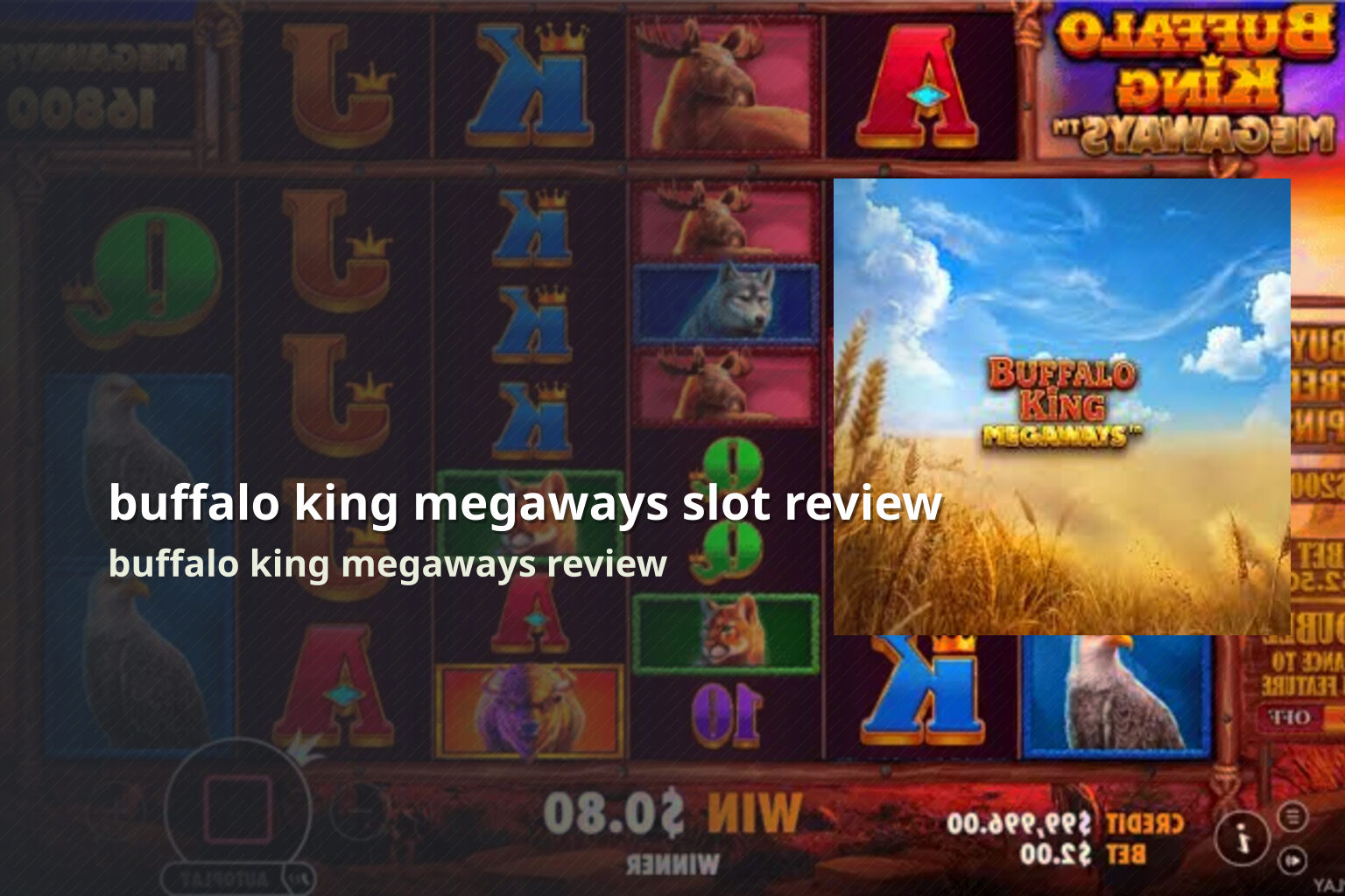buffalo king megaways slot review buffalo king megaways review