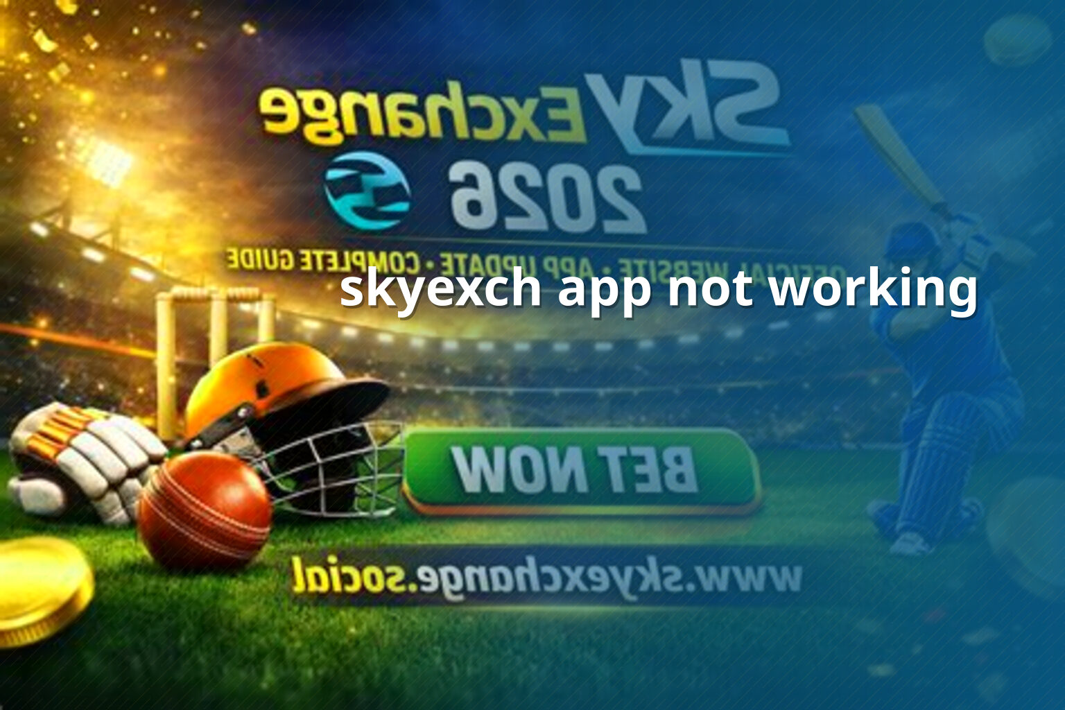 skyexch app not working - gaming_brand