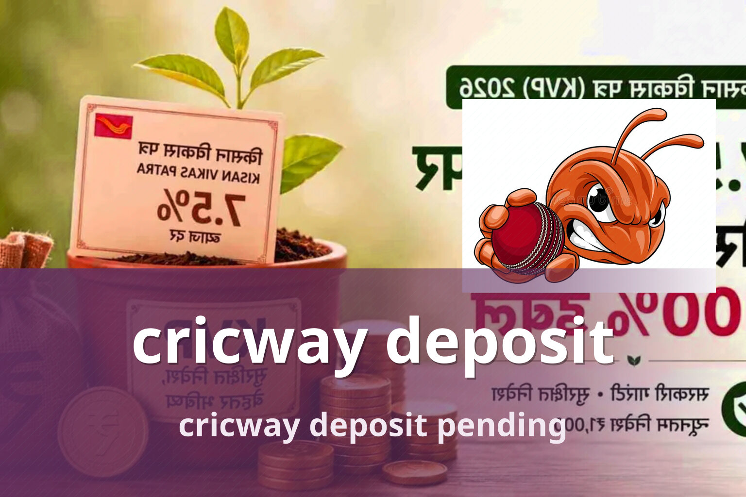 cricway deposit cricway deposit pending