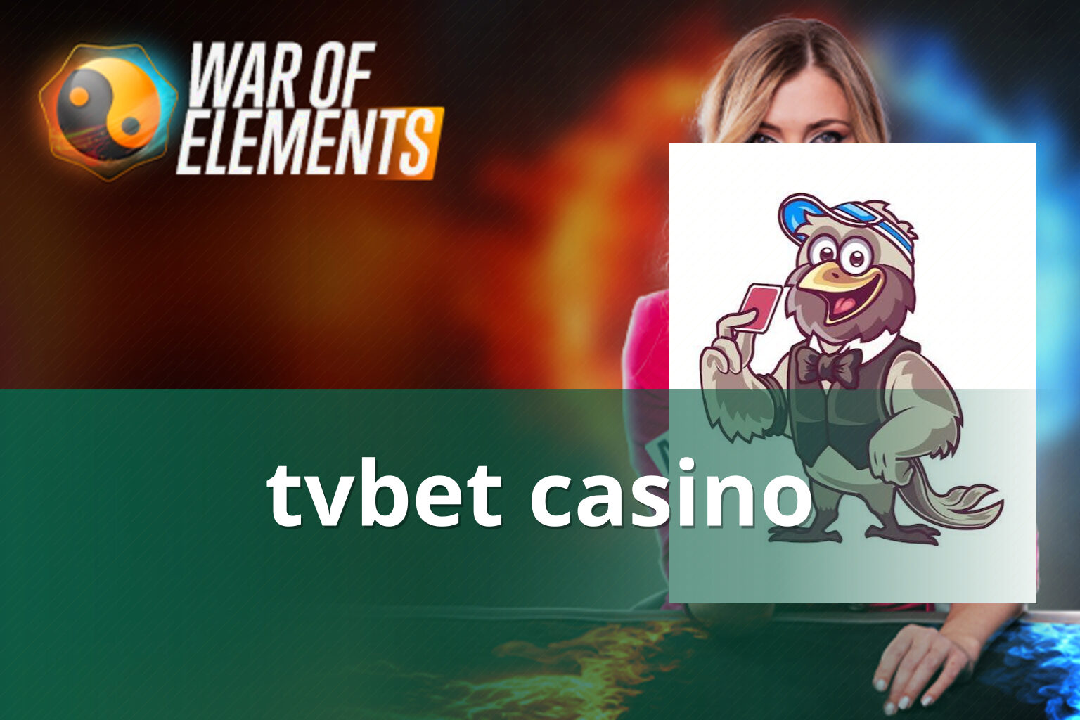 tvbet casino - casino