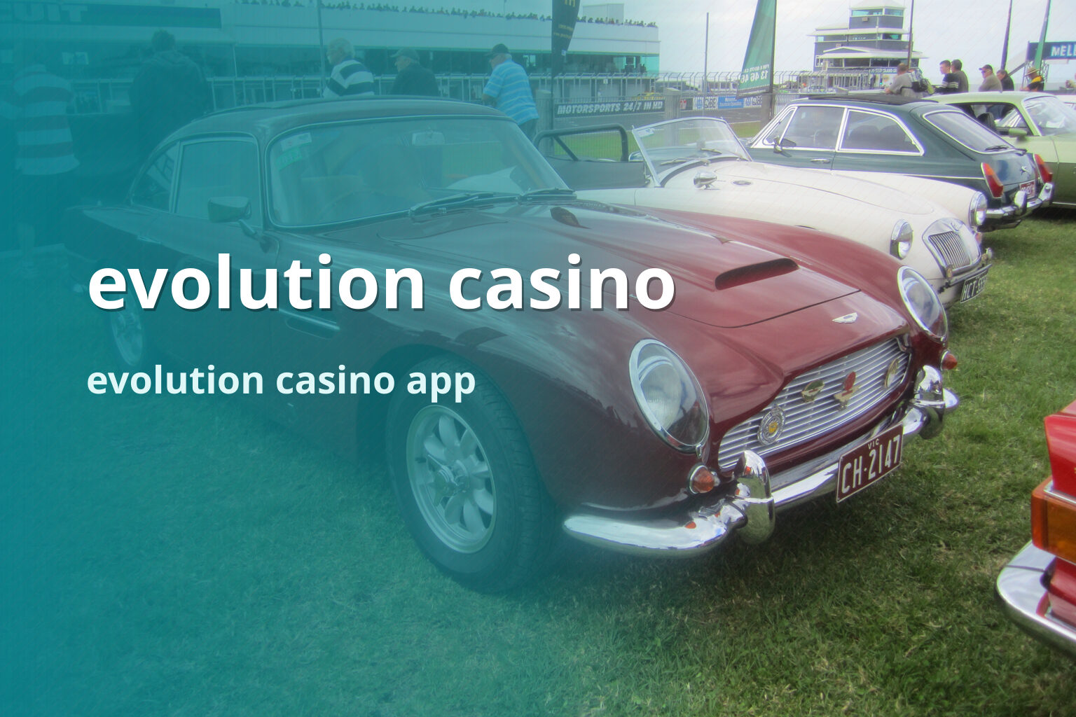 evolution casino - casino