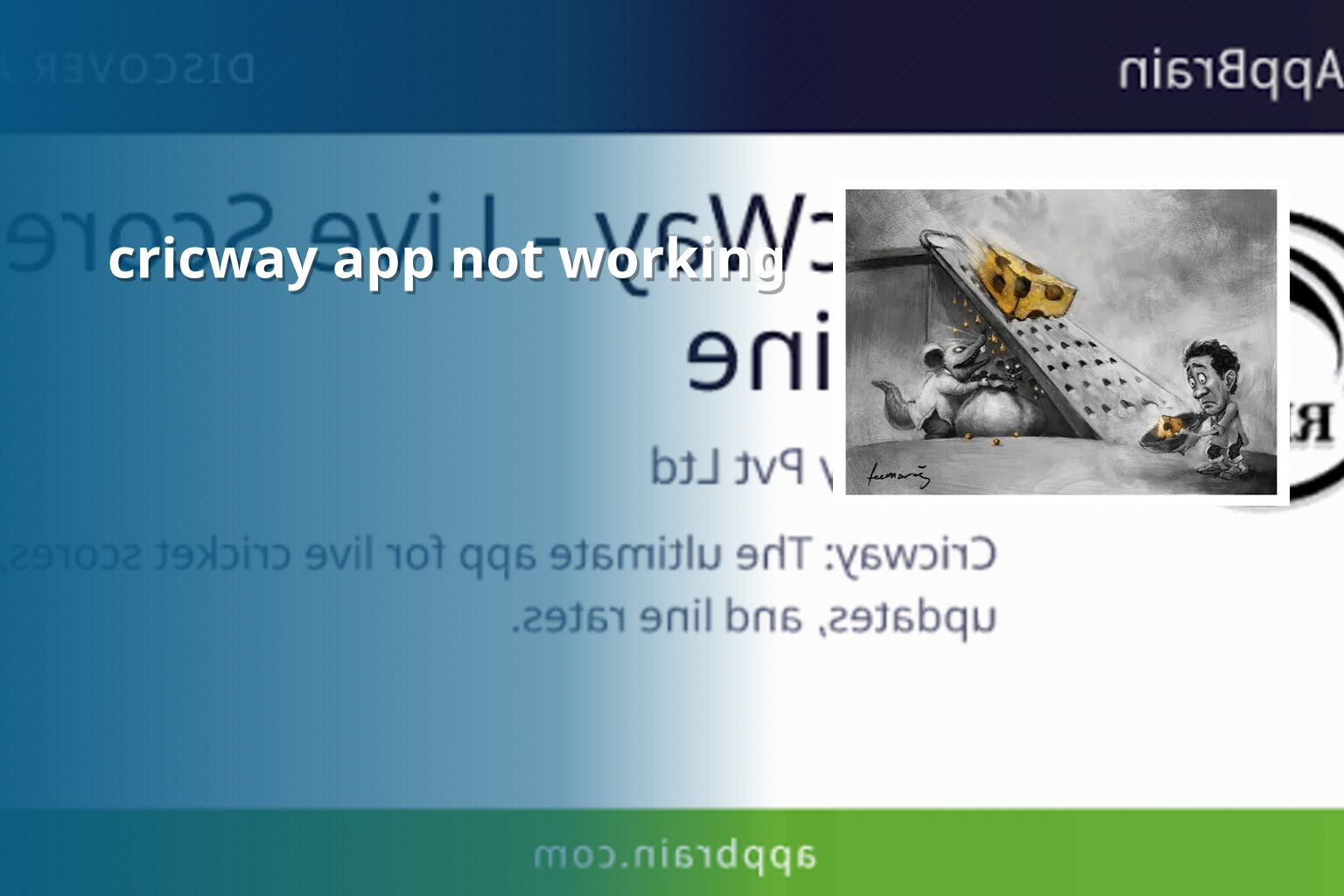 cricway app not working - gaming_brand