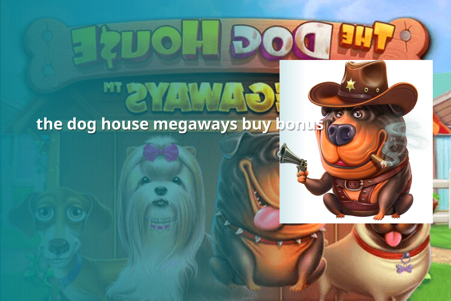 the dog house megaways buy bonus - slots
