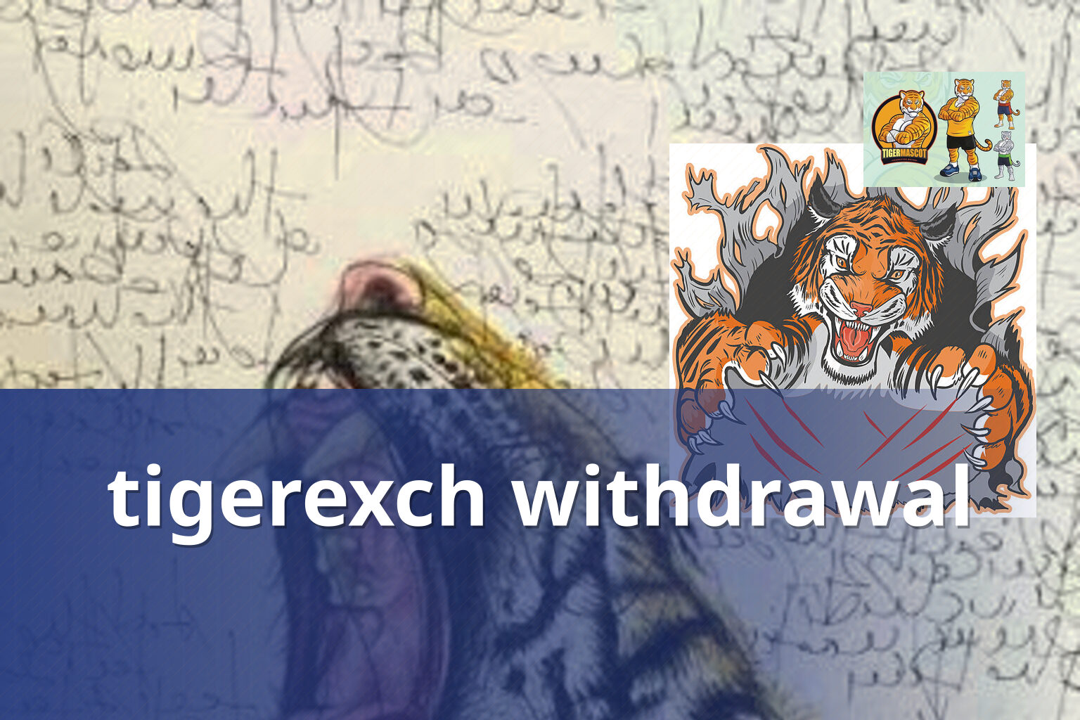 tigerexch withdrawal - gaming_brand