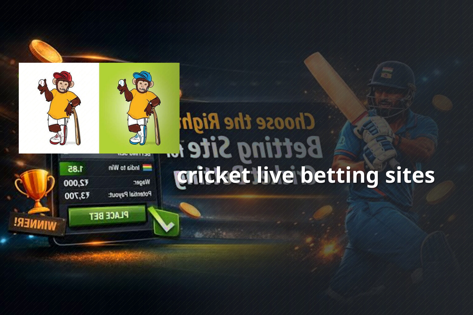 cricket live betting sites - การพนัน