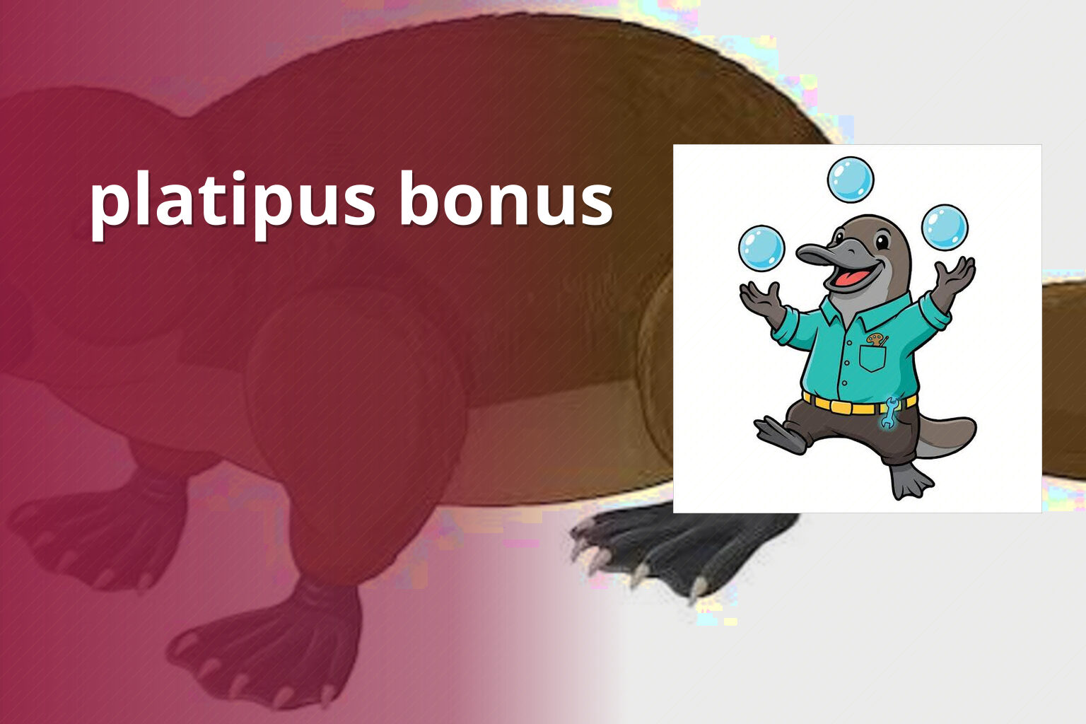 platipus bonus - gaming_brand