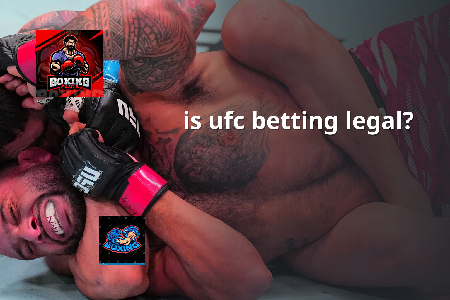 is ufc betting legal? - sportsbook
