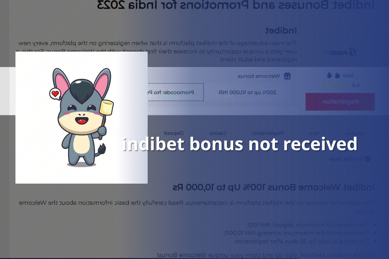 indibet bonus not received - gaming_brand