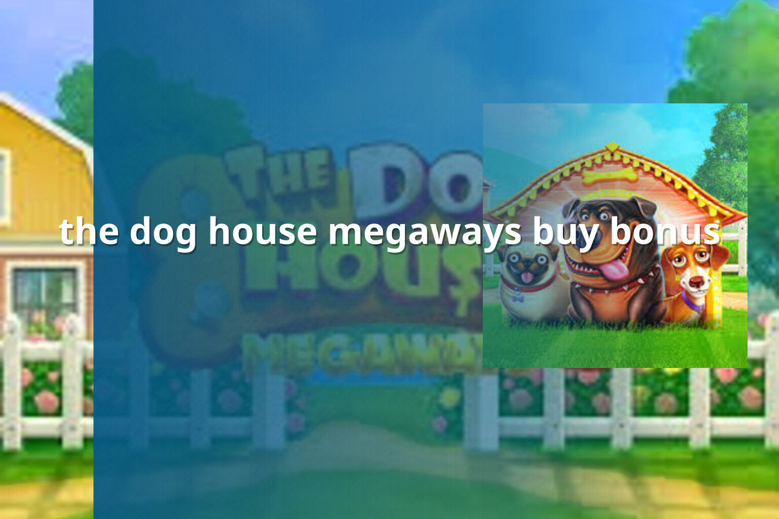 the dog house megaways buy bonus - slots