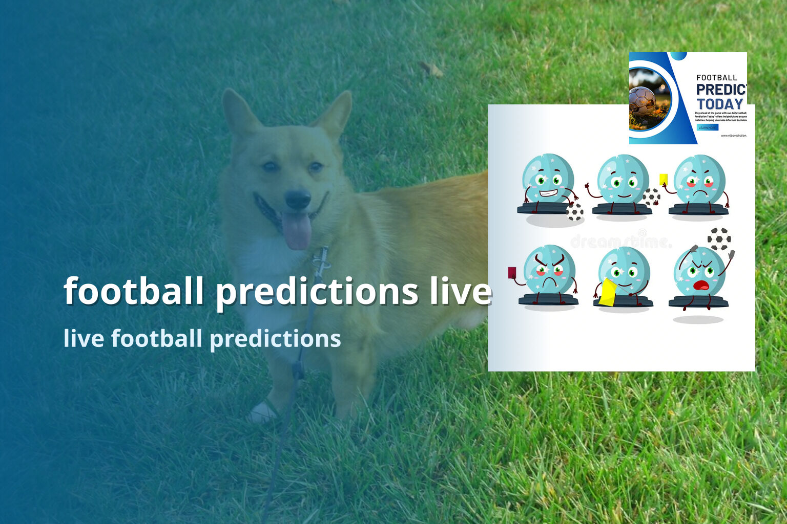 football predictions live - sportsbook