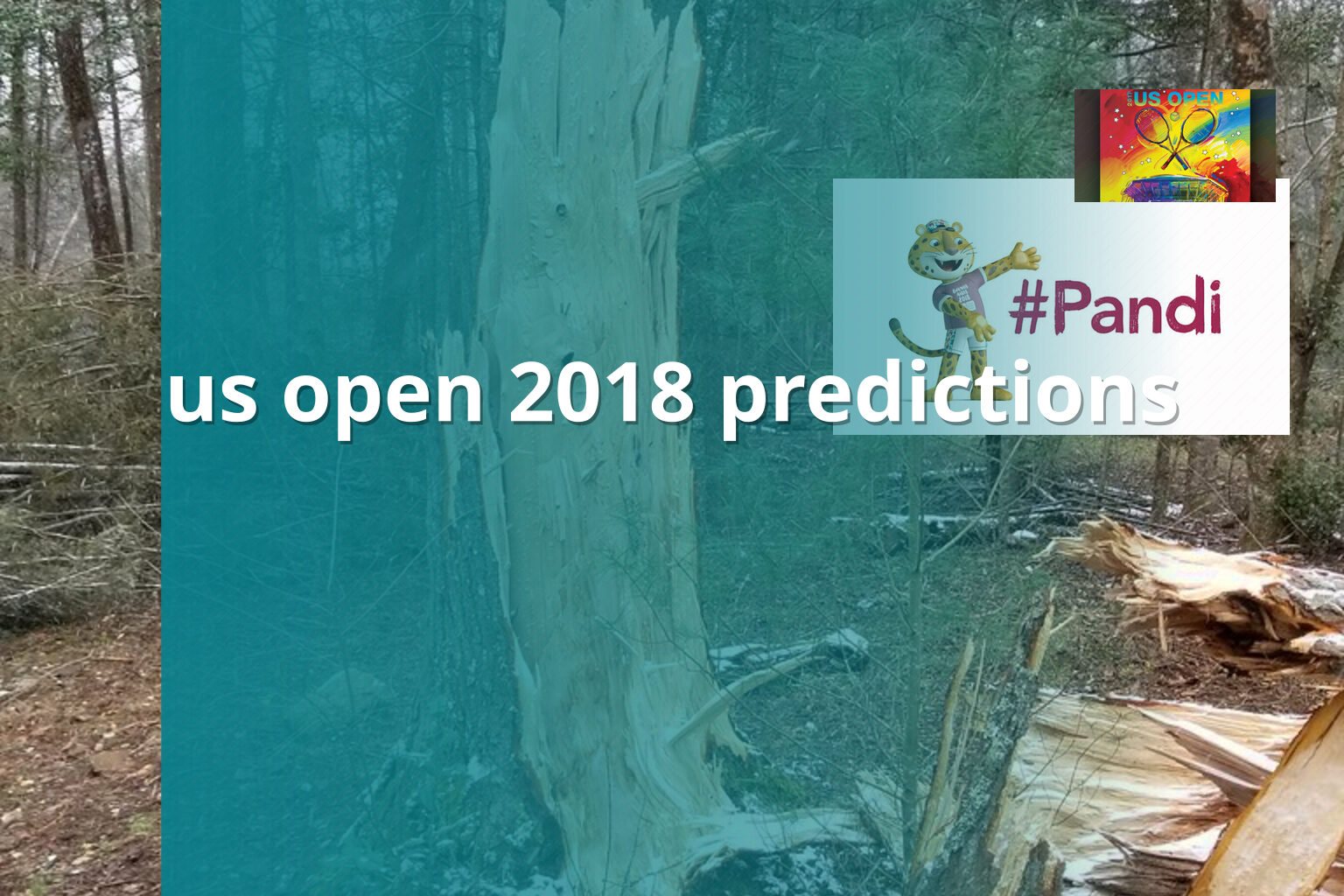 us open 2018 predictions - sportsbook