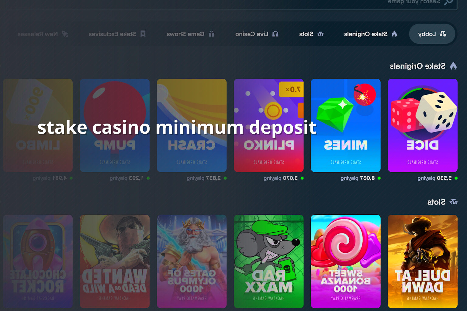stake casino minimum deposit - gaming_brand