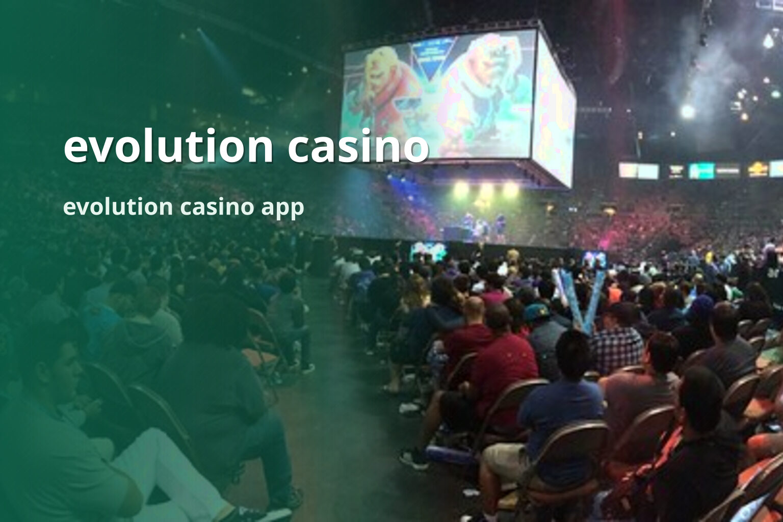 evolution casino evolution casino app