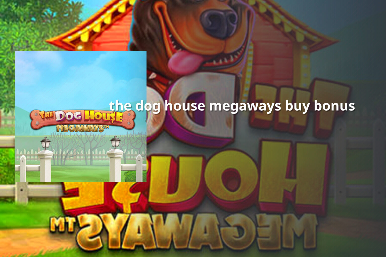 the dog house megaways buy bonus - slots