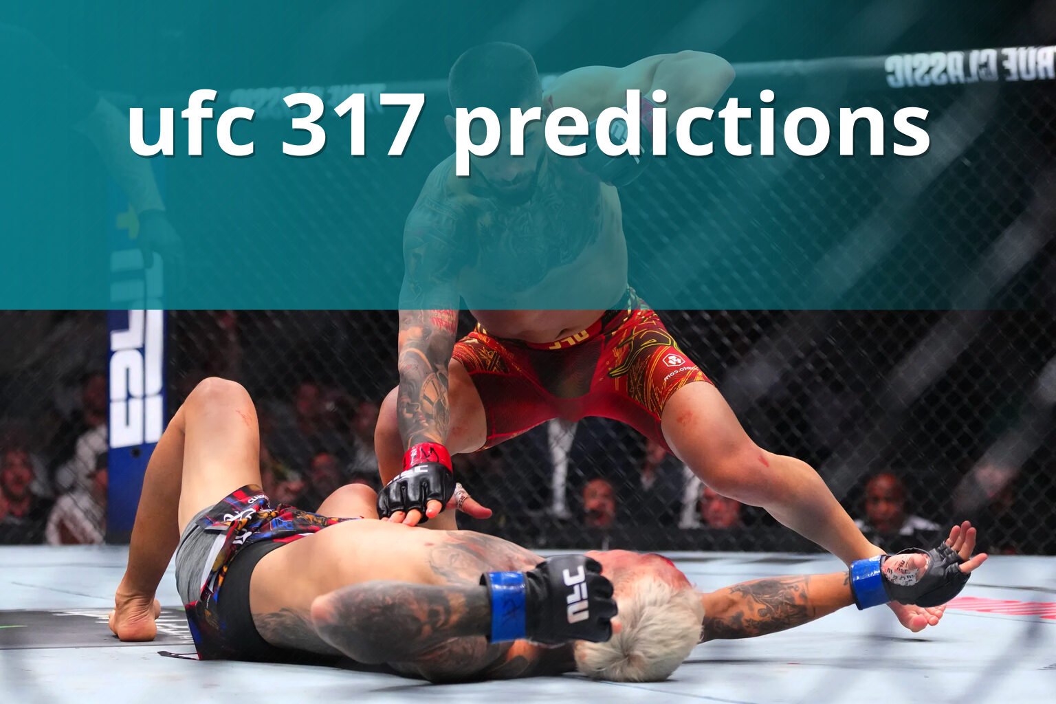 ufc 317 predictions - sportsbook