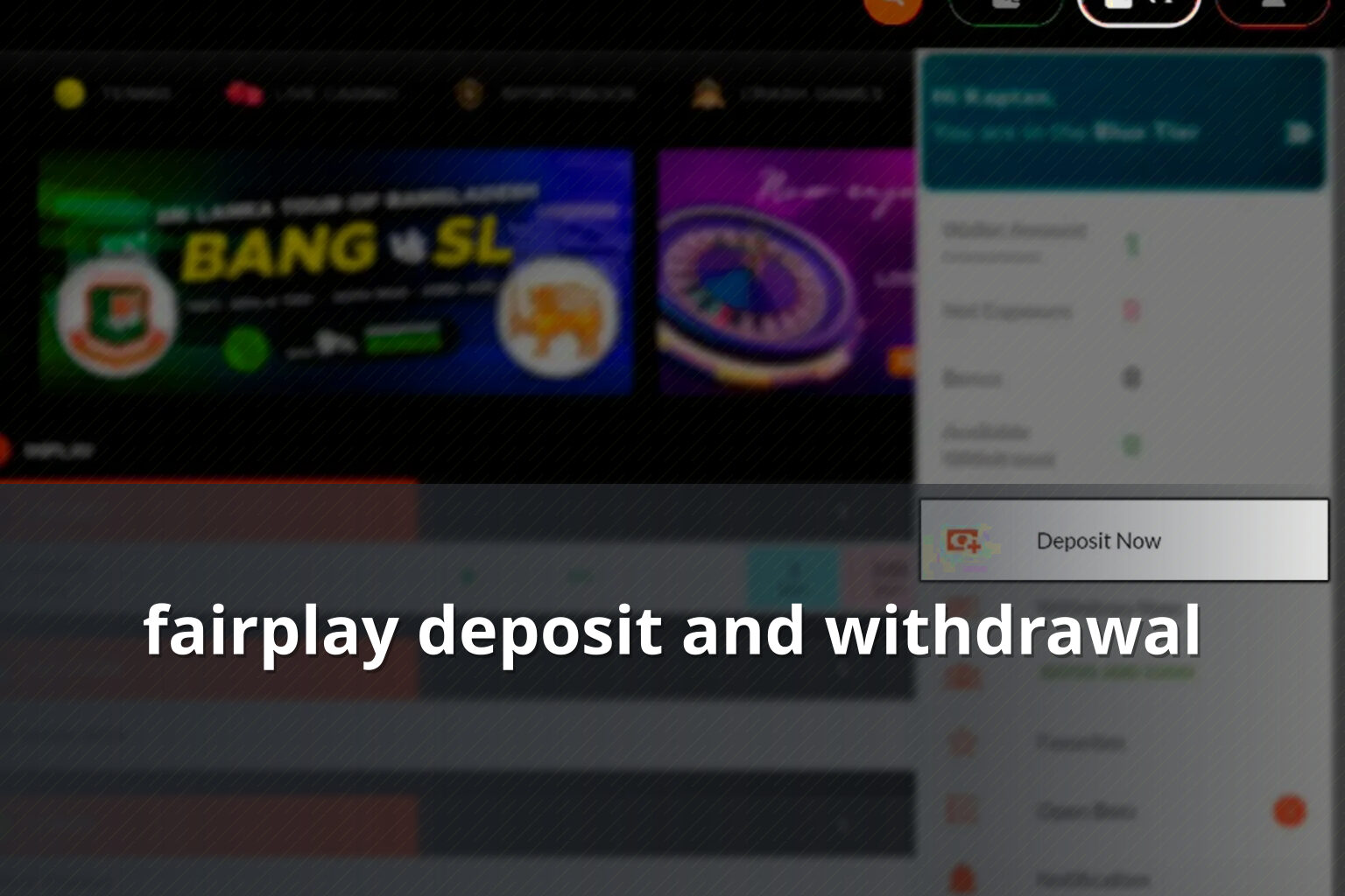 fairplay deposit and withdrawal - gaming_brand