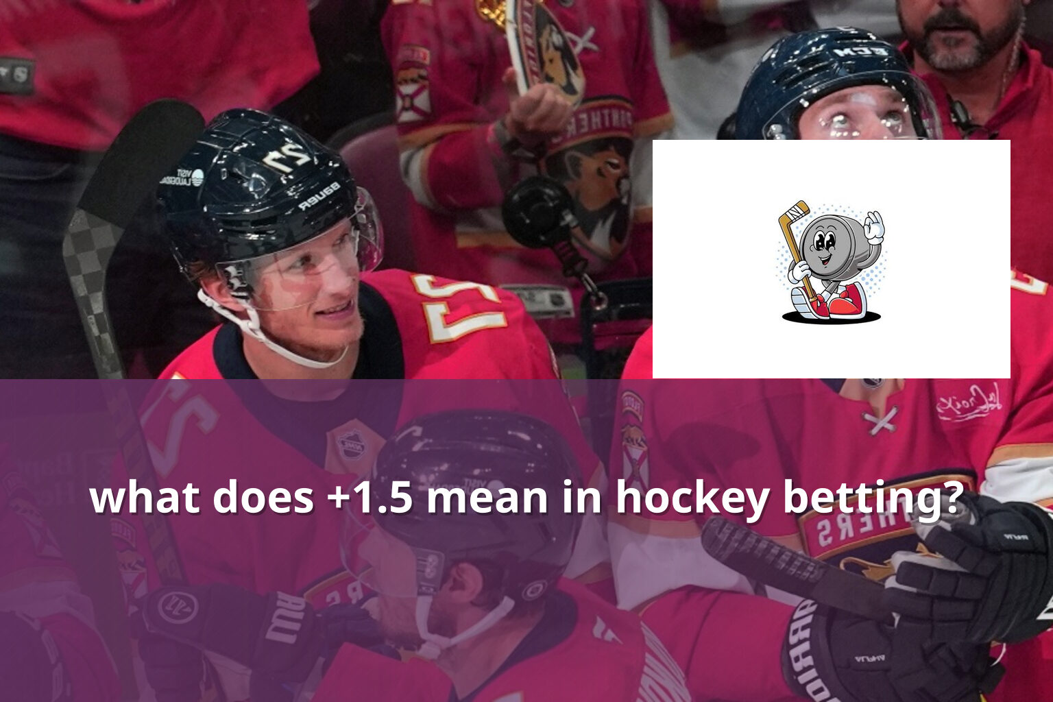 what does +1.5 mean in hockey betting? - การพนัน