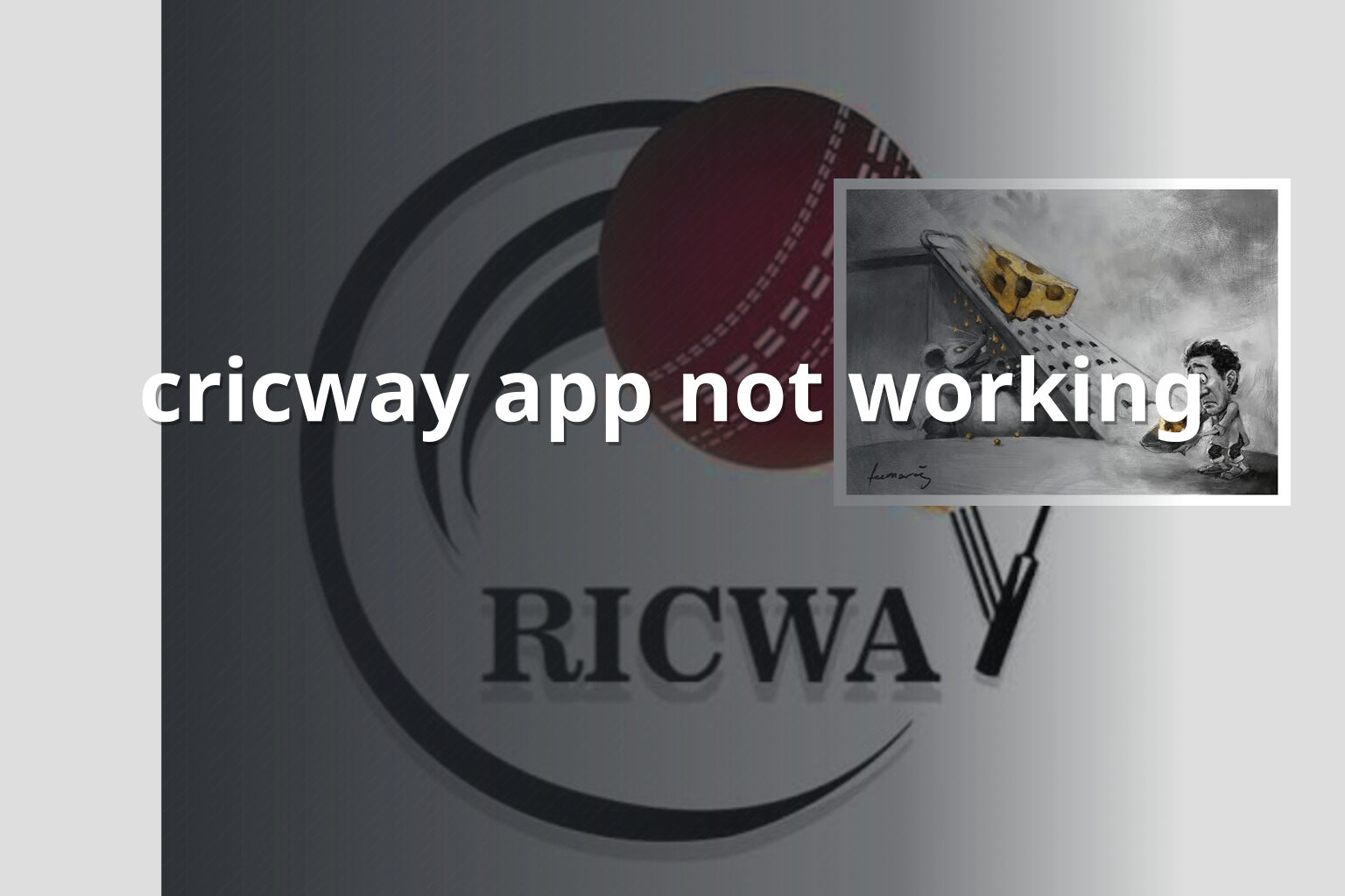 cricway app not working - gaming_brand