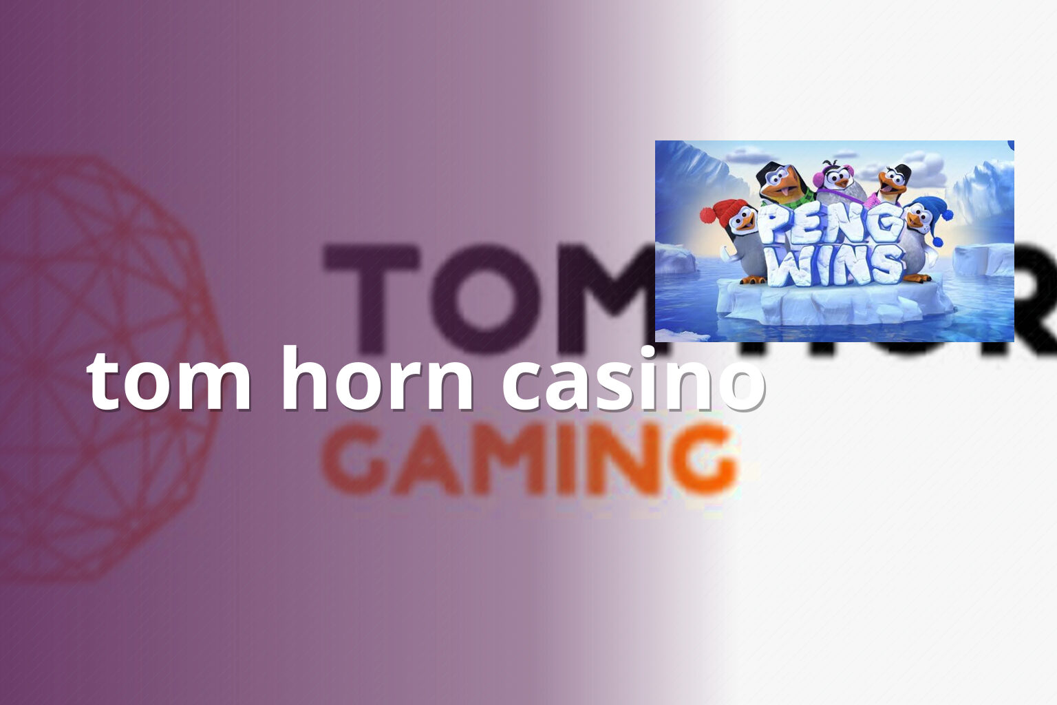 tom horn casino - casino
