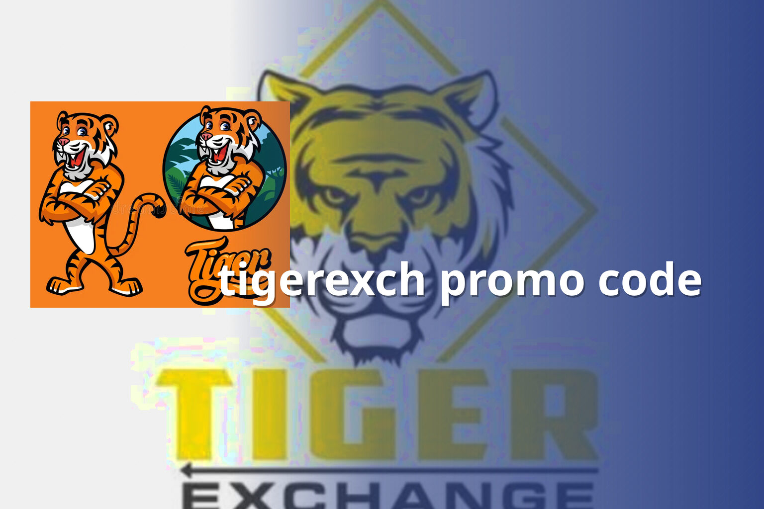 tigerexch promo code - gaming_brand