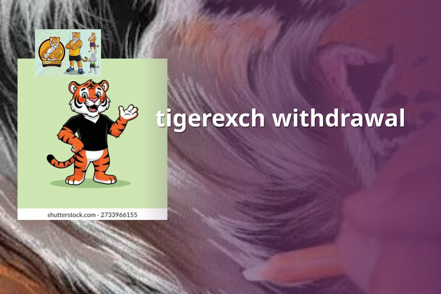 tigerexch withdrawal - gaming_brand