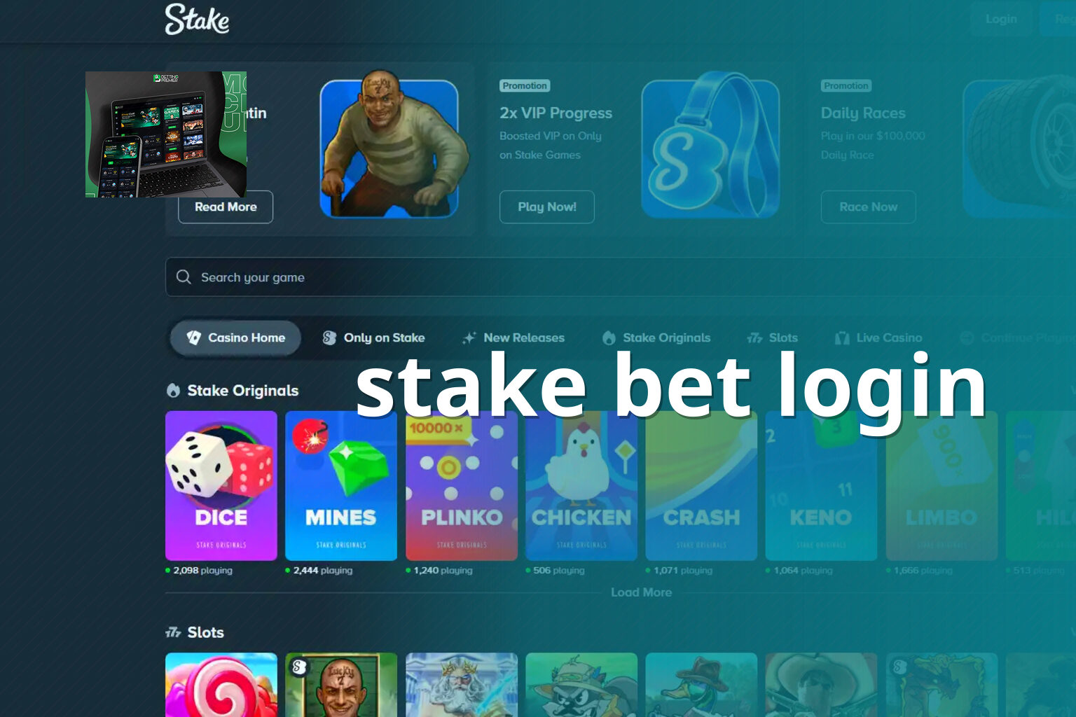 stake bet login - gaming_brand