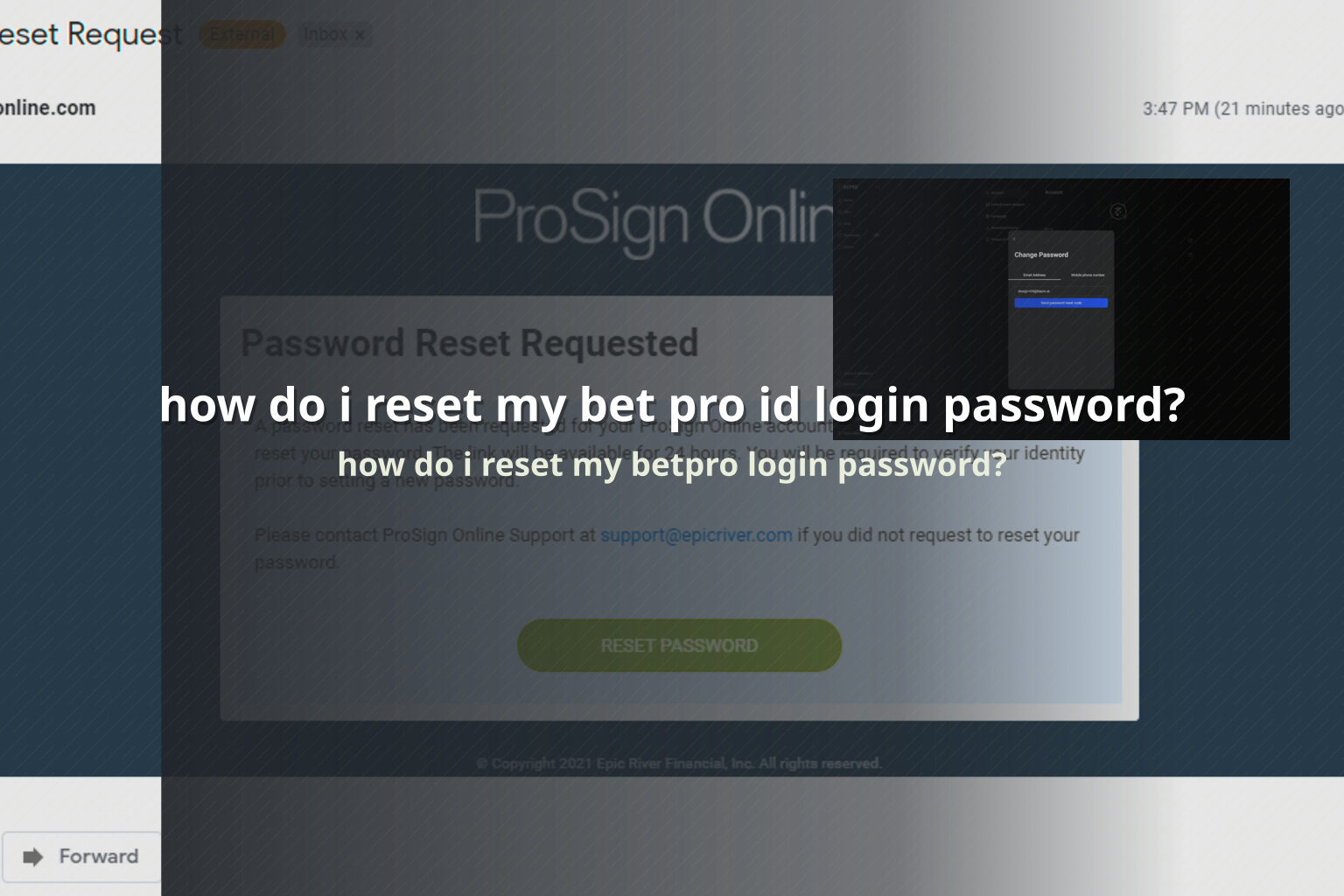 how do i reset my bet pro id login password? - gaming_brand