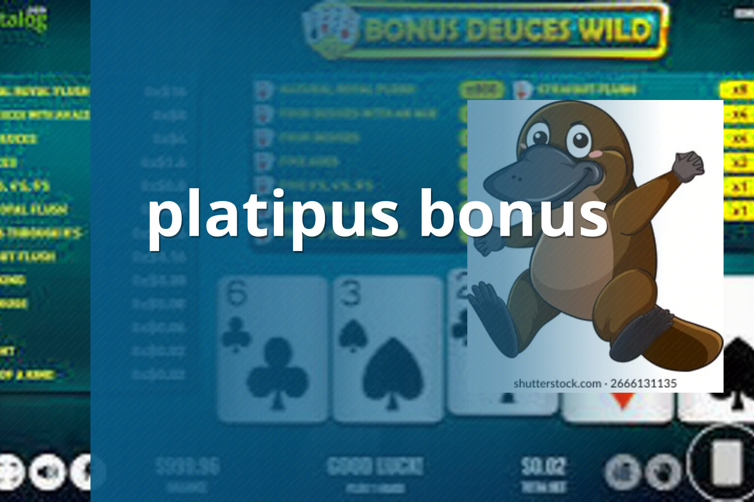 platipus bonus - gaming_brand
