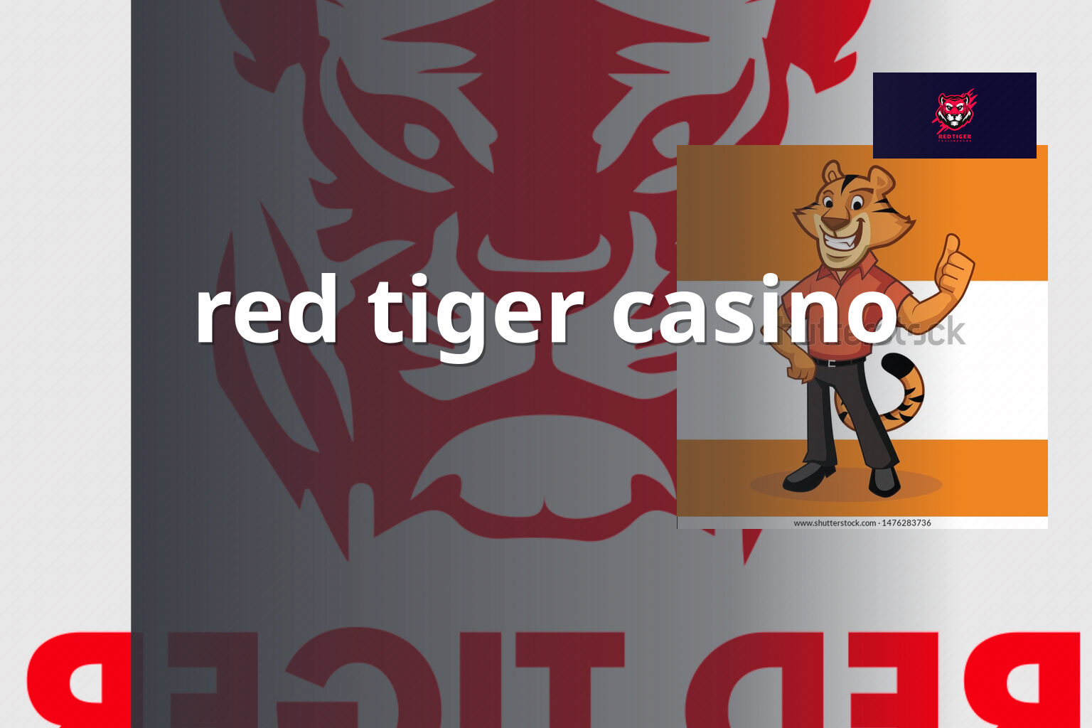 red tiger casino - casino