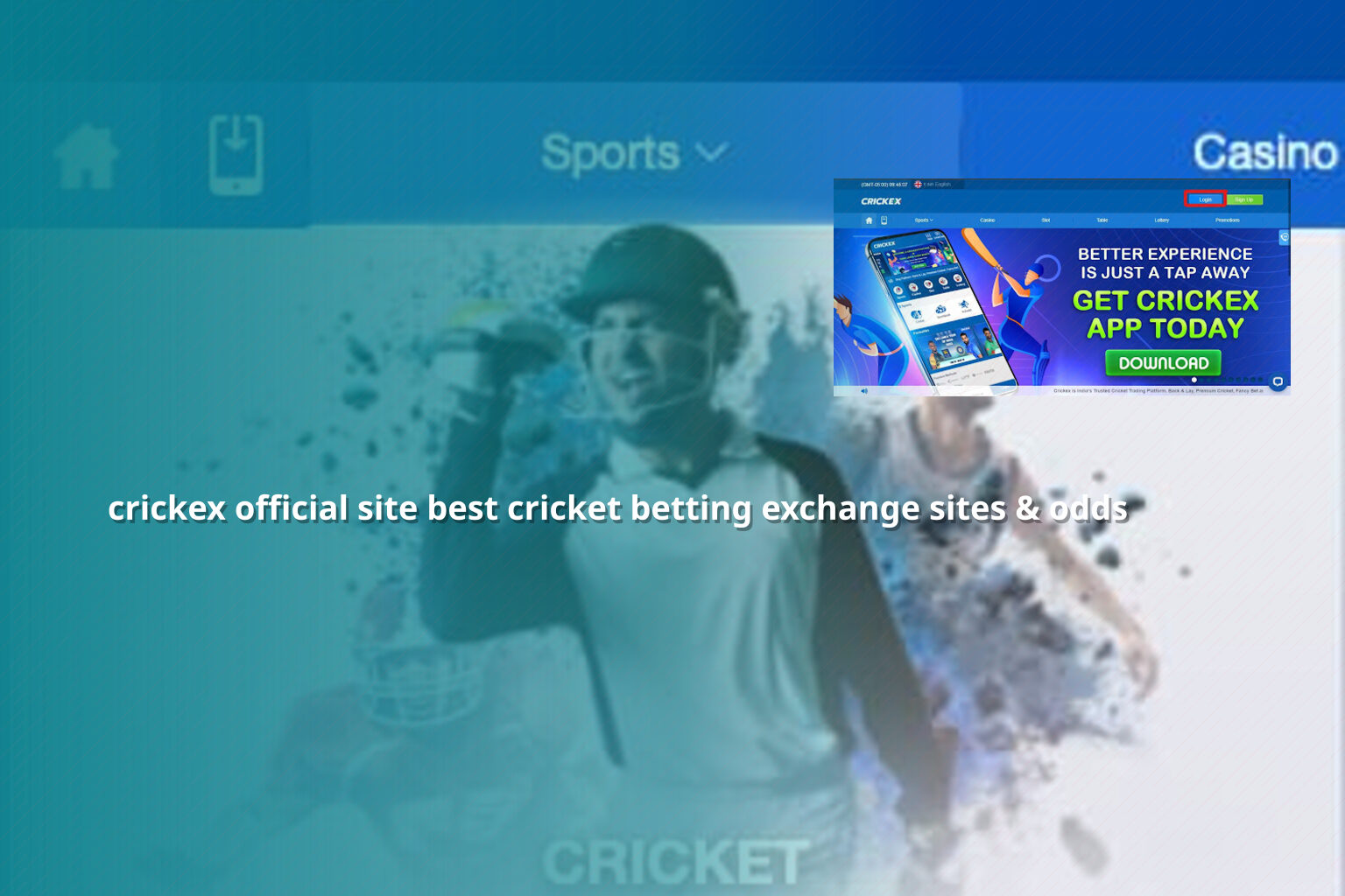 crickex official site best cricket betting exchange sites & odds - การพนัน