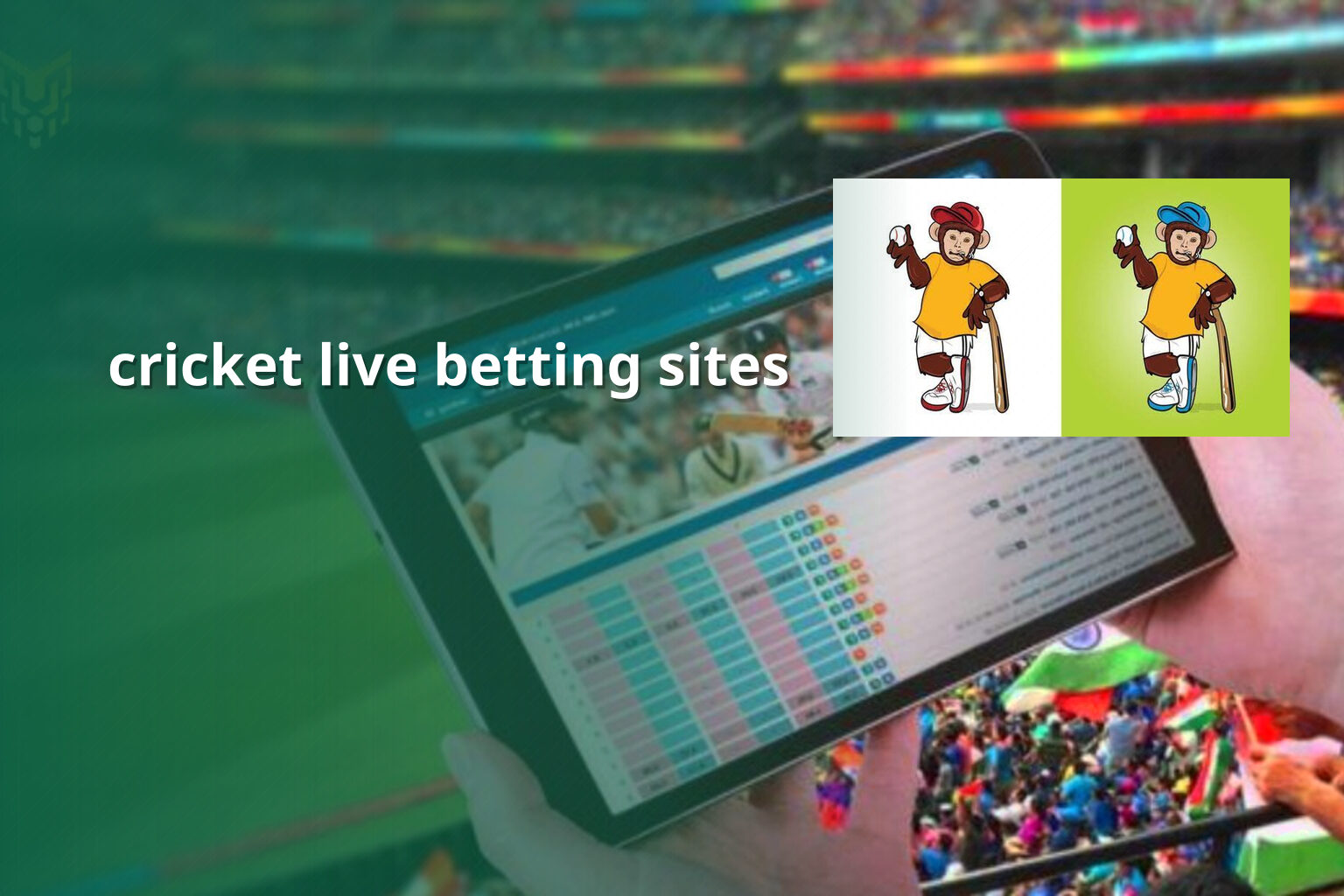 cricket live betting sites - การพนัน