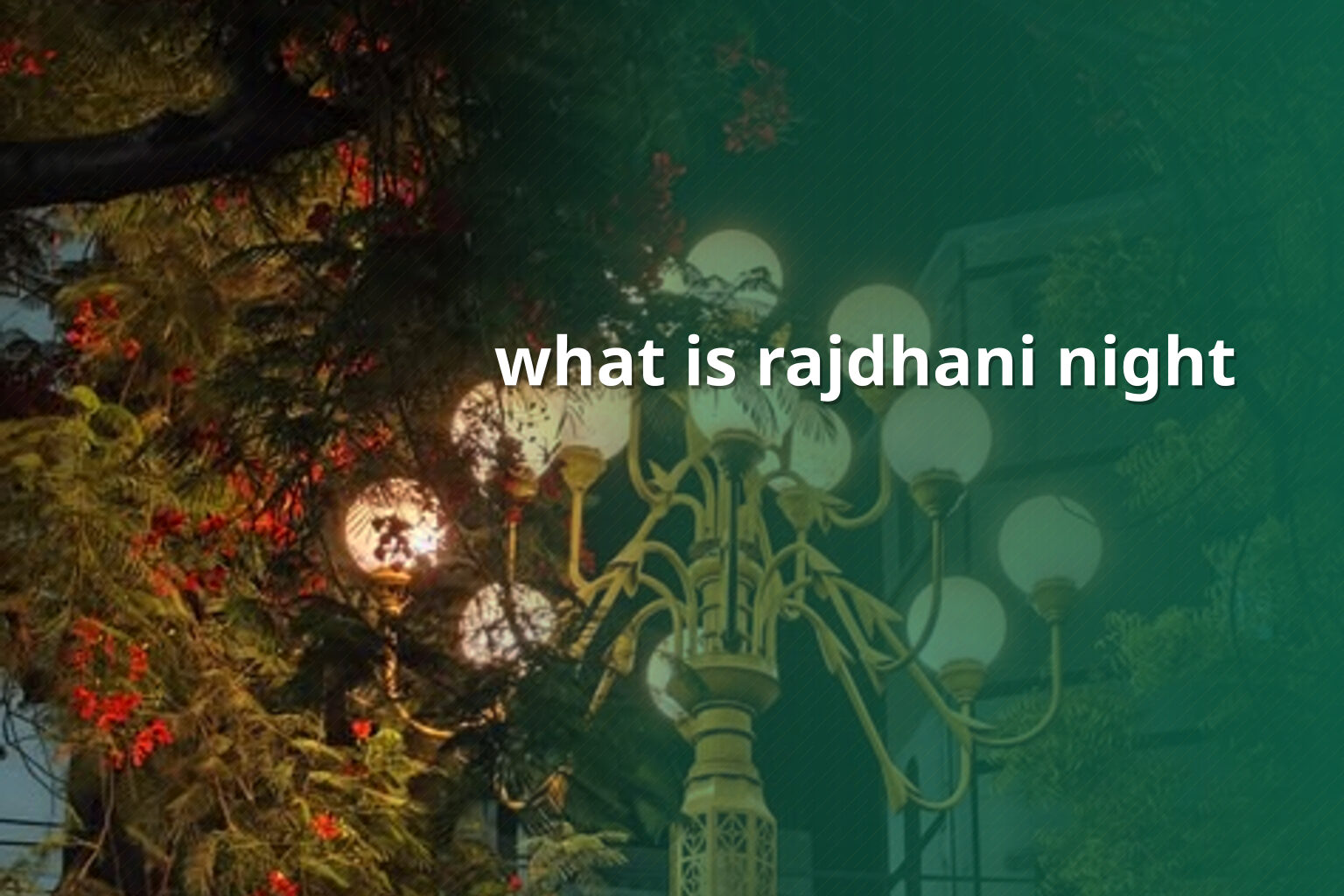 what is rajdhani night - online_gaming