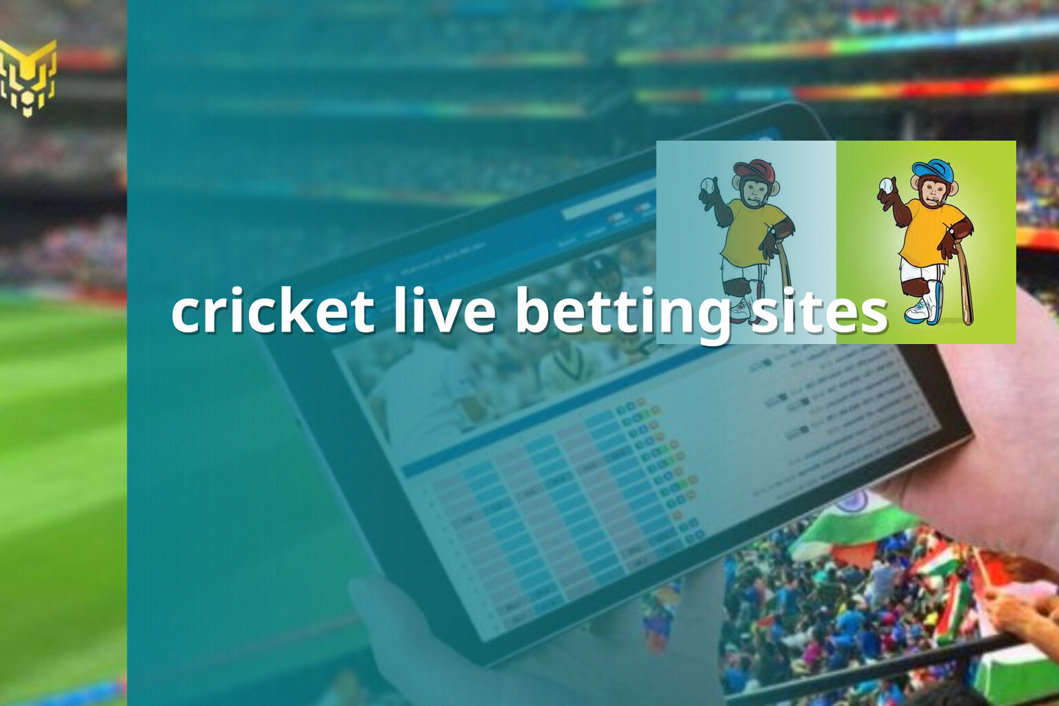cricket live betting sites - การพนัน