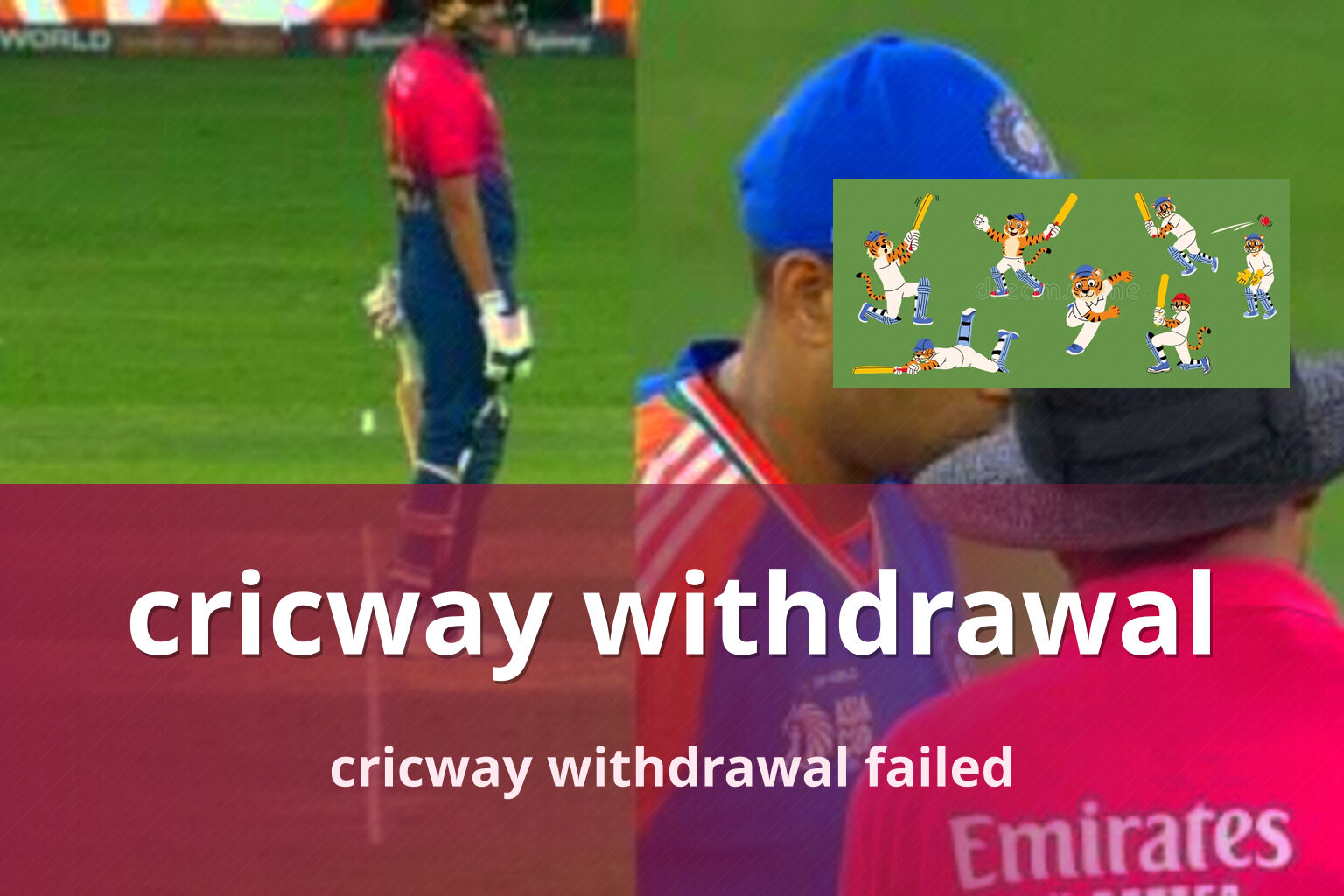 cricway withdrawal - gaming_brand