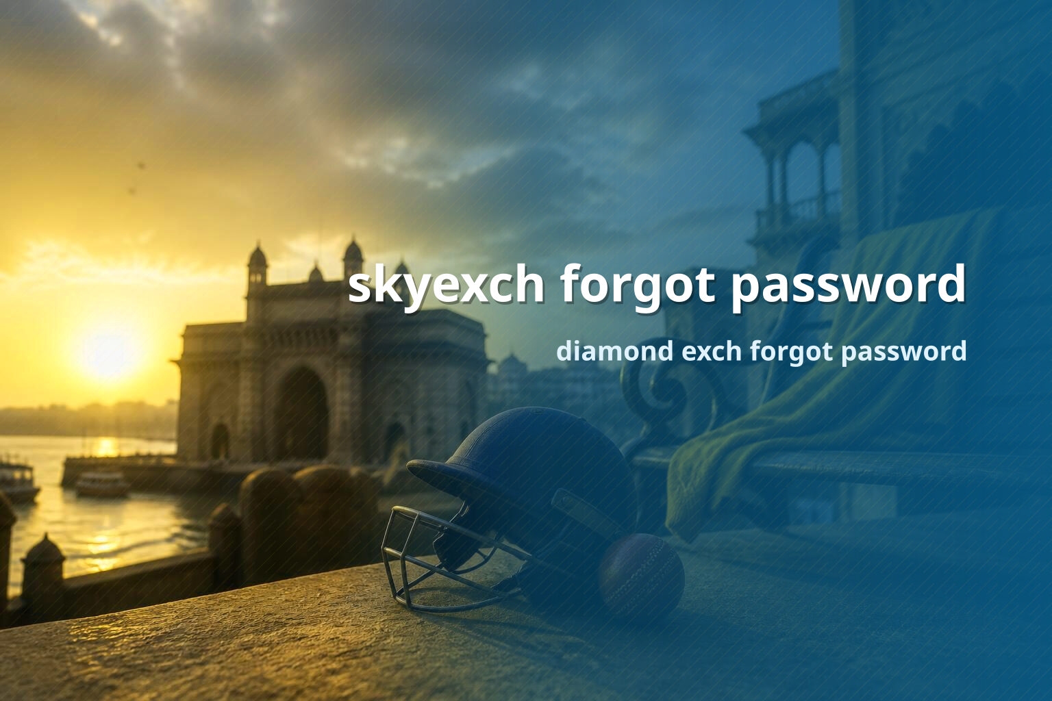 skyexch forgot password - gaming_brand