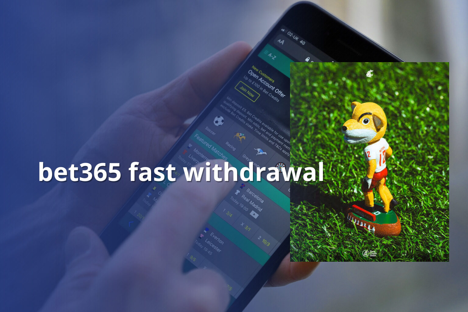 bet365 fast withdrawal - gaming_brand
