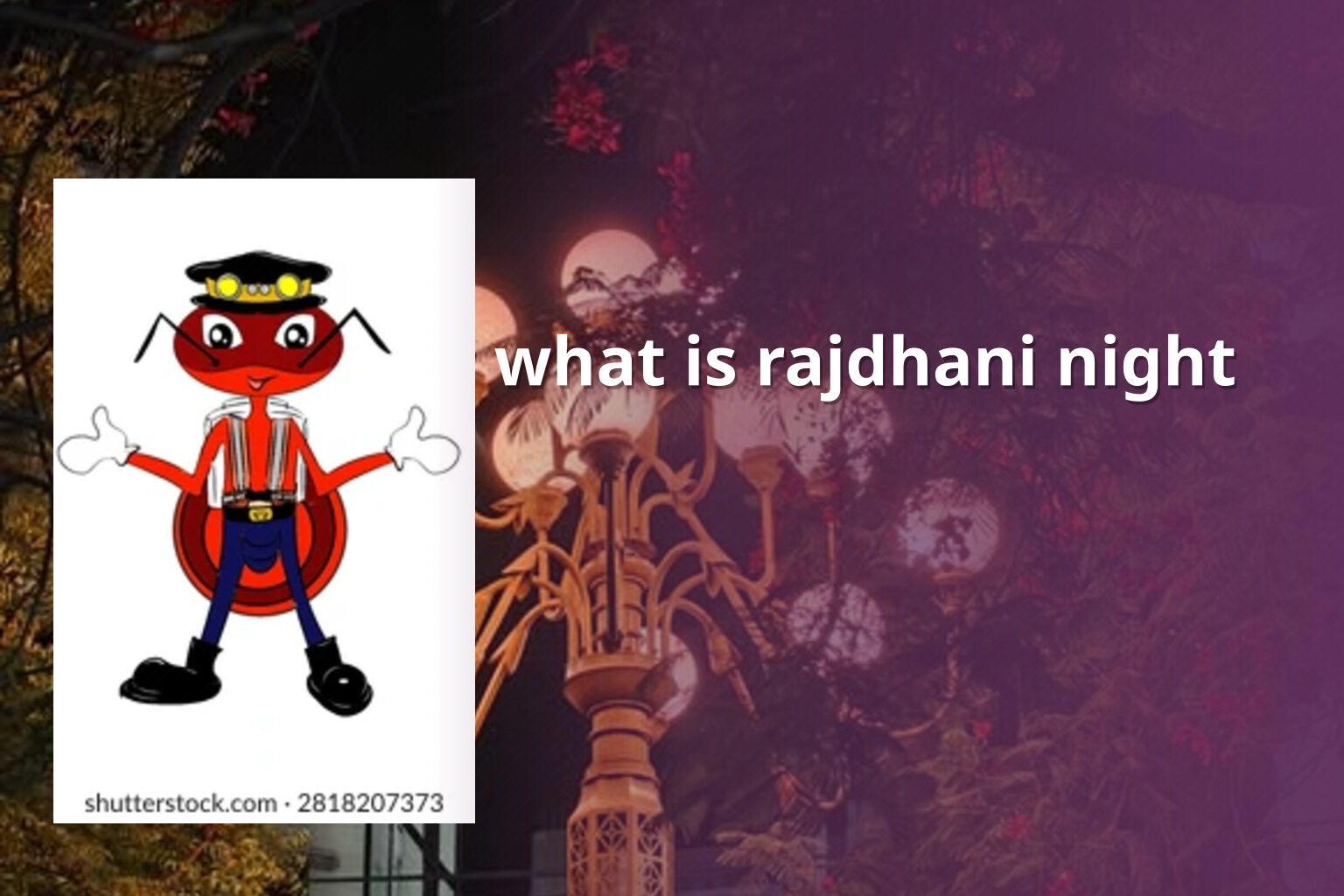 what is rajdhani night - online_gaming