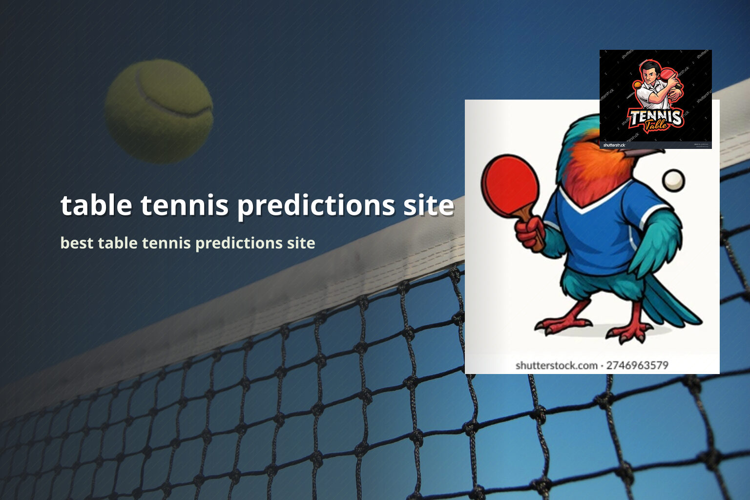 table tennis predictions site best table tennis predictions site