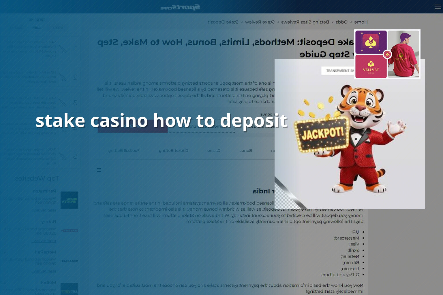 stake casino how to deposit - gaming_brand