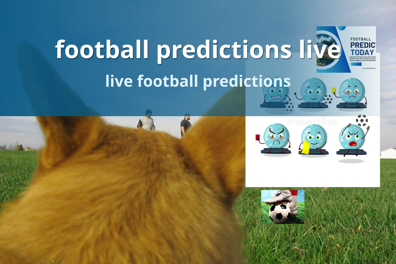 football predictions live live football predictions