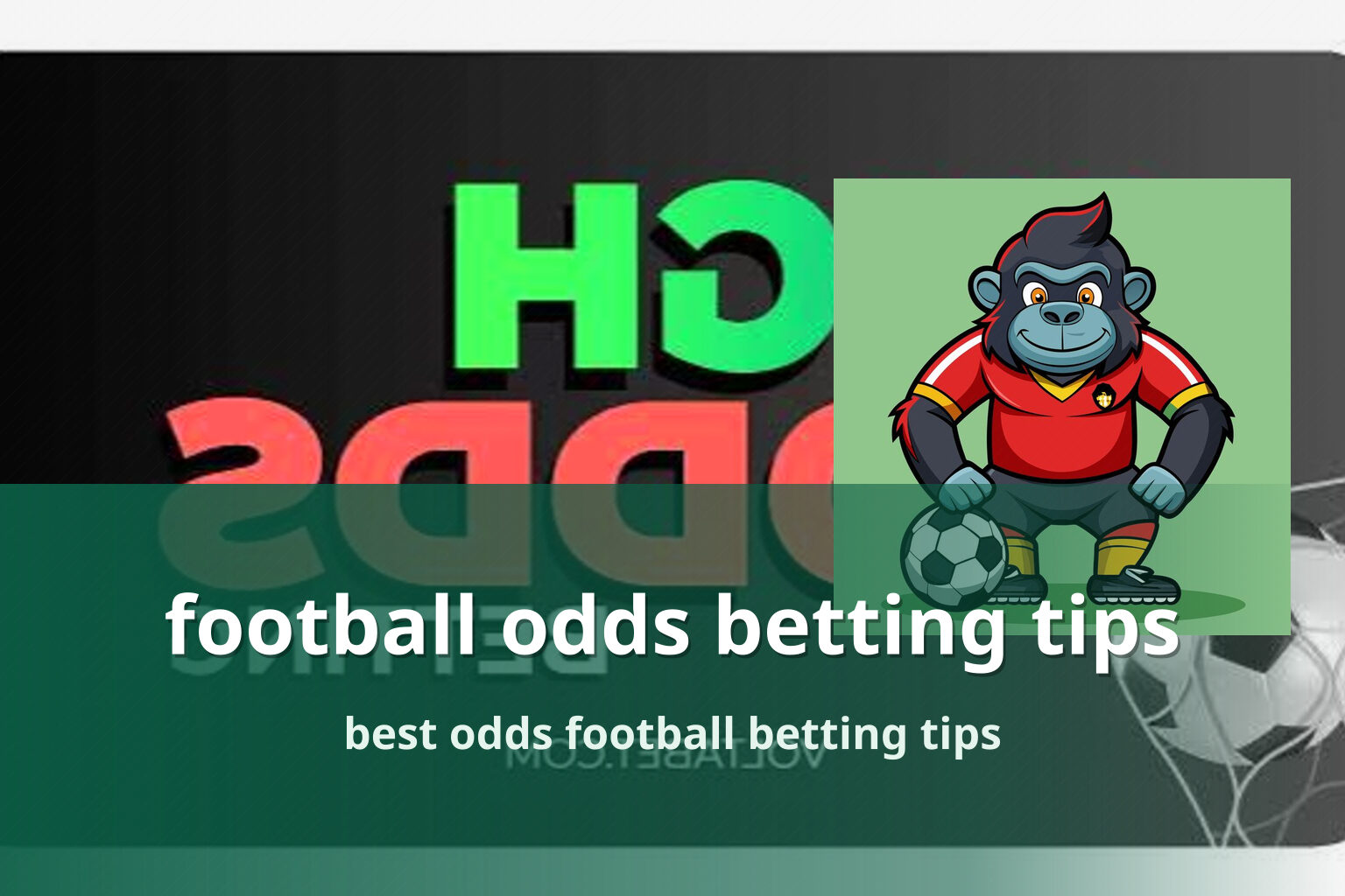 football odds betting tips - sportsbook