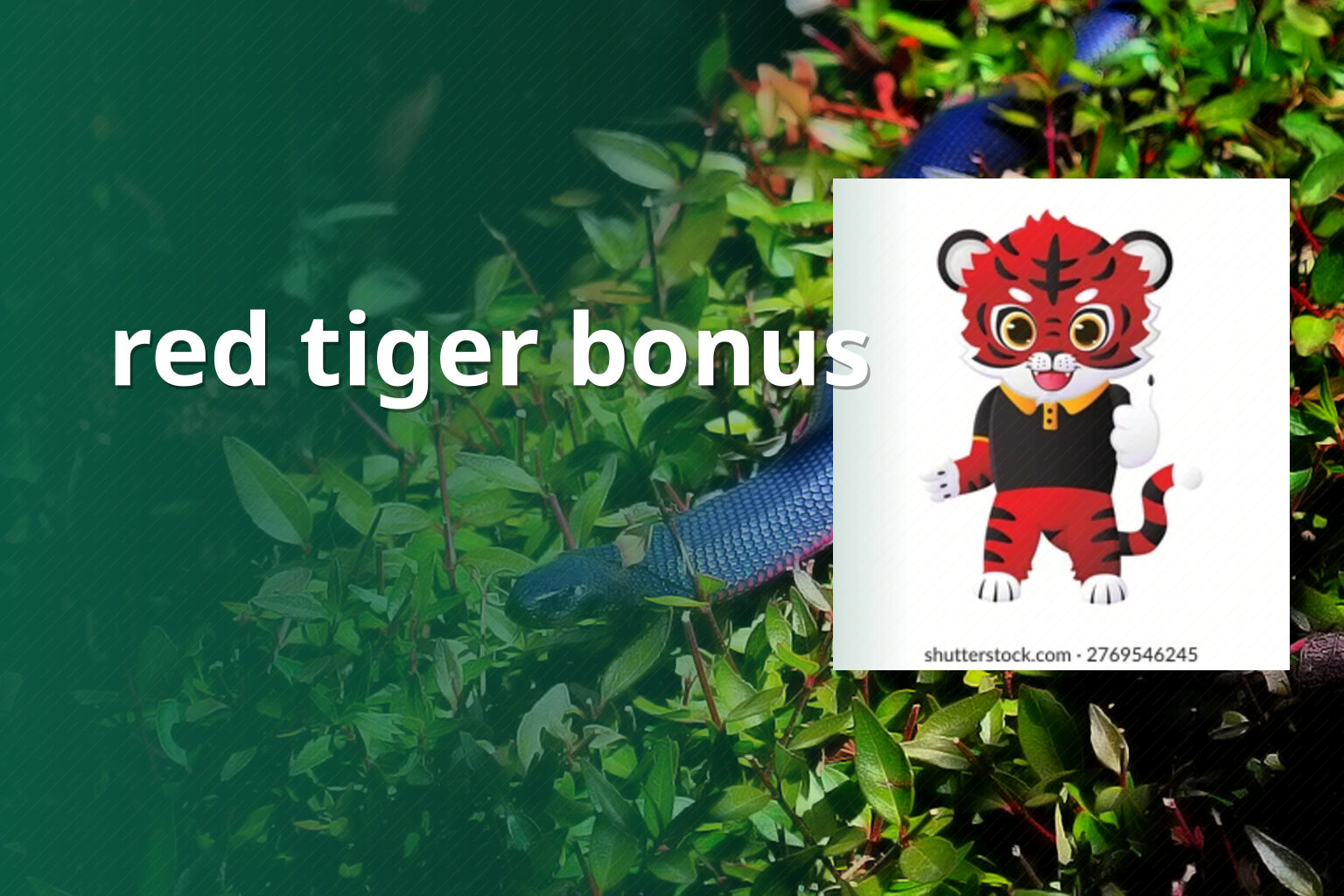 red tiger bonus - gaming_brand