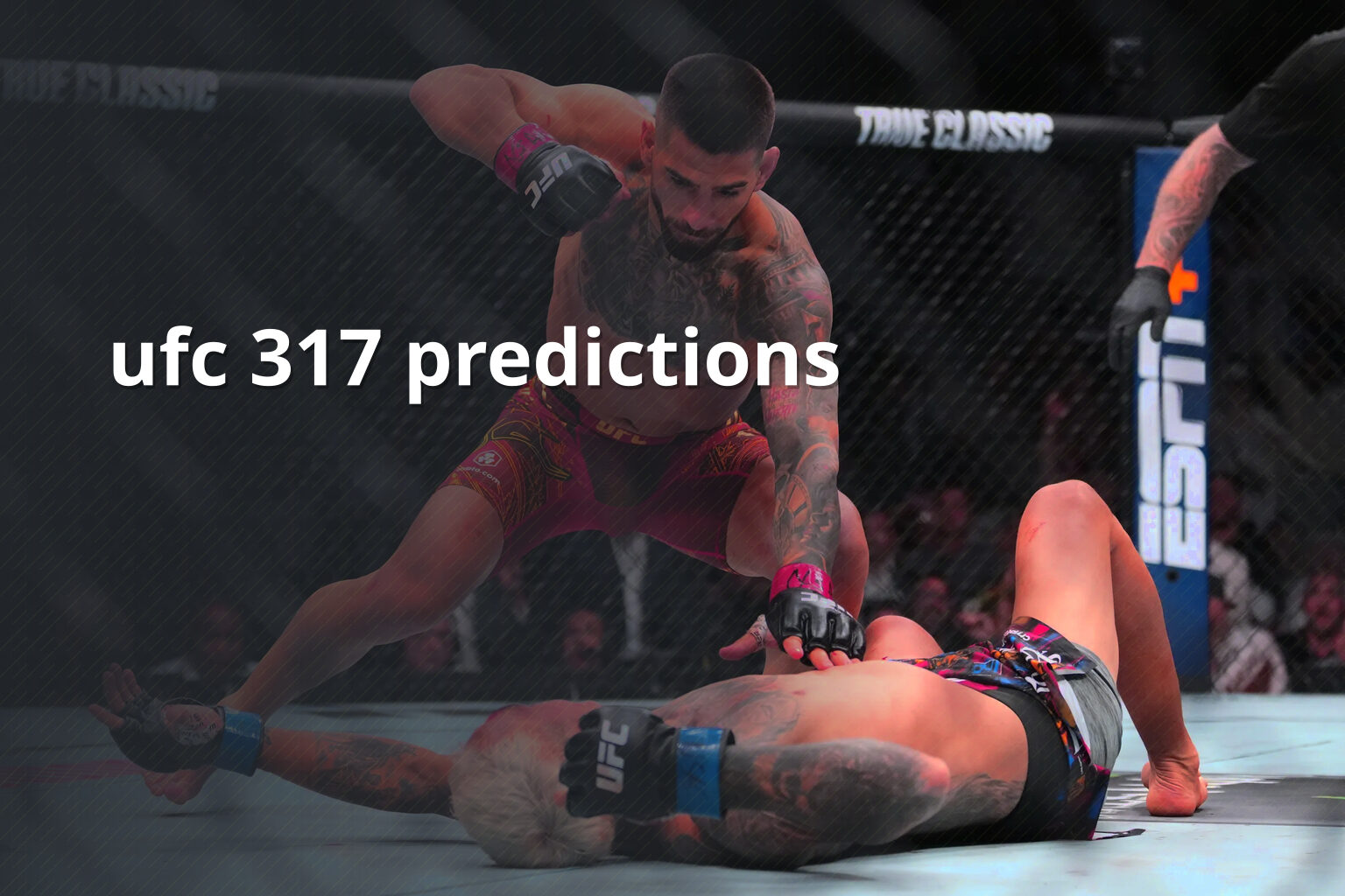ufc 317 predictions - sportsbook
