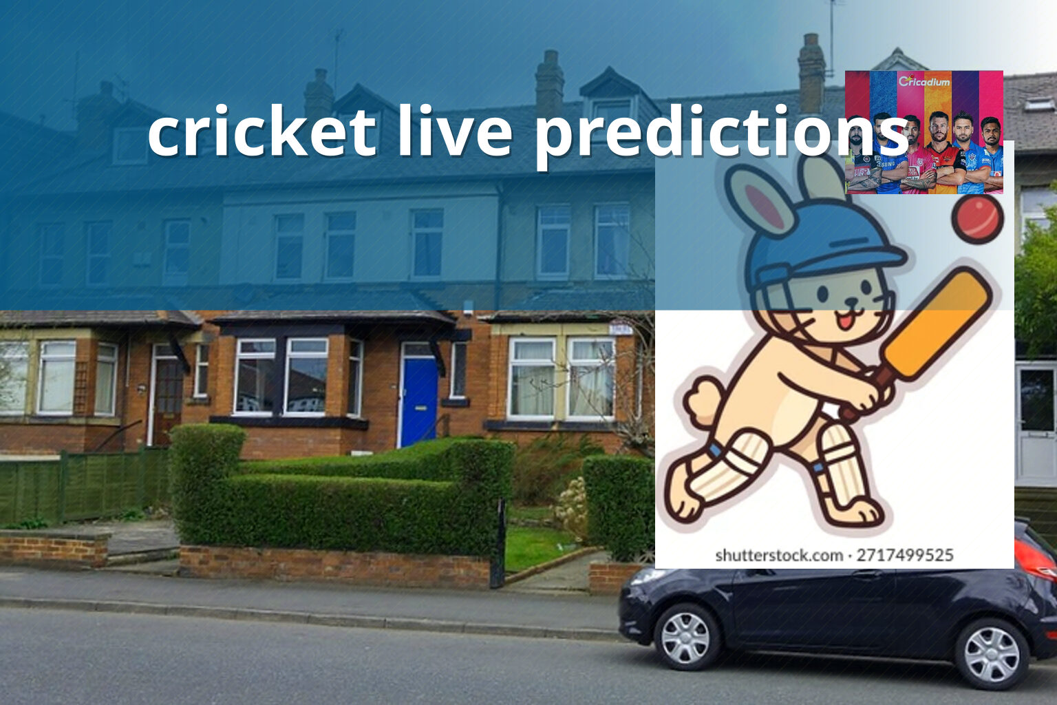 cricket live predictions - cricket_betting